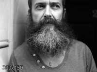 Ave exótica en clínica